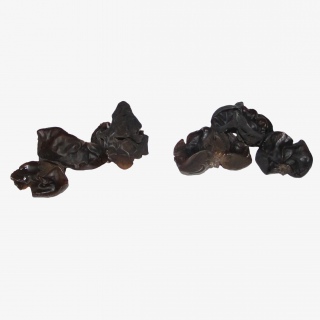木耳蔬菜免抠实物png素材