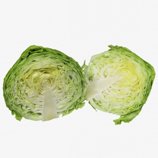 包菜蔬菜实物png素材