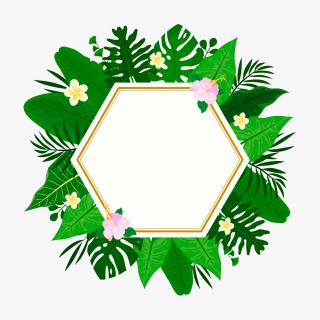 彩色绿色花环绿叶边框PNG