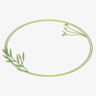手绘卡通植物边框免抠素材