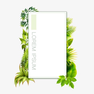 清新简约绿色植物边框