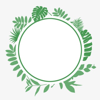 夏日绿色植物叶子边框