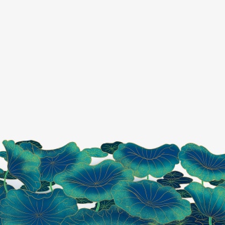中国风国潮插画荷叶大气装饰画边框