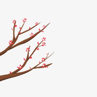 梅花枝