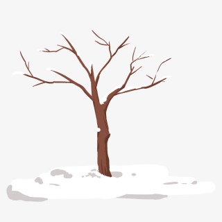 雪地上的枯败树干