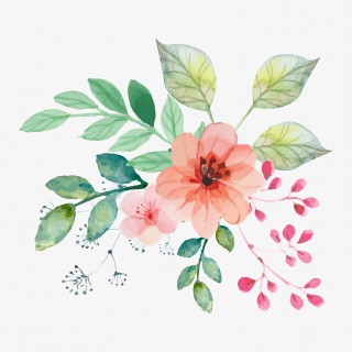 森系小清新水彩手绘绿叶花朵