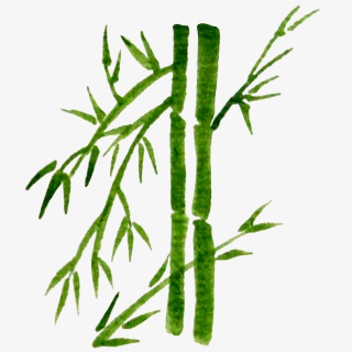 手绘水彩效果竹子插画素材