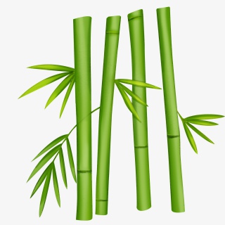 手绘卡通竹子免抠素材