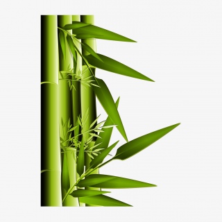 绿色竹子