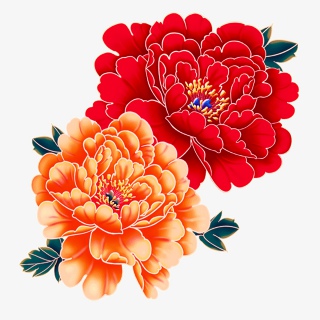 富贵牡丹花元素