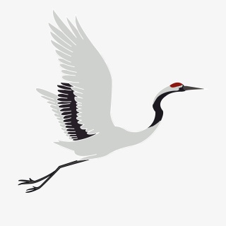 九九重阳节飞鹤插画
