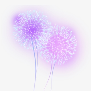 美丽烟花礼花元素
