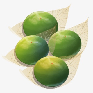 青团美食绿色