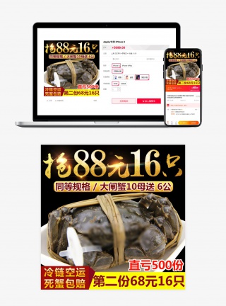 高大上阳澄湖大闸蟹食品生鲜海鲜螃蟹时尚母蟹主图直通车