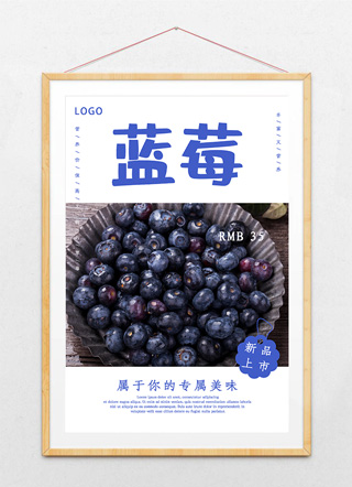 创意简约蓝莓促销海报