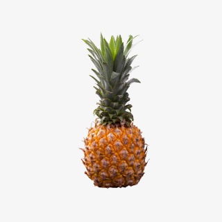水果菠萝实拍免抠