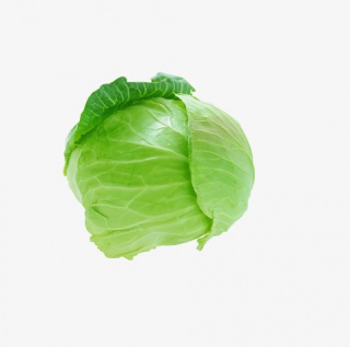 素材水果大白菜