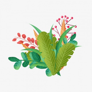 小清新草地植物