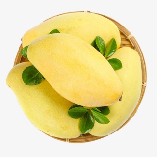 一筐水仙芒果
