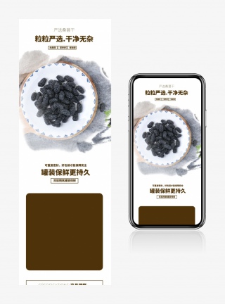 滋补品养生品药品桑葚详情页