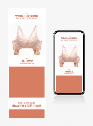 时尚简约大气胸罩内衣电商简约详情页设计
