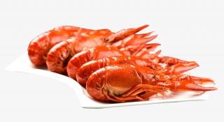 美食龙虾