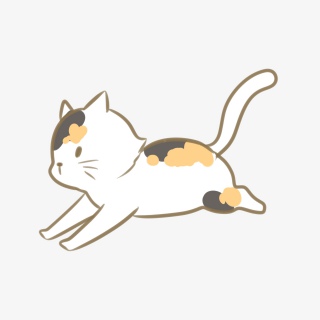一只奔跑着的猫