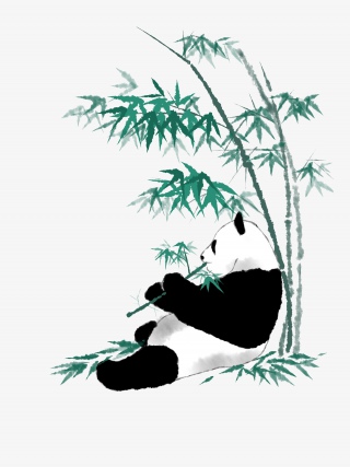 熊猫吃竹子