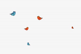 蝴蝶