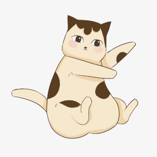 猫咪宠物玩耍快乐胖猫喵喵周末黄猫