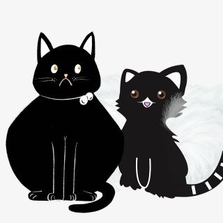 典雅猫咪可以用手捧取形容顽皮娇