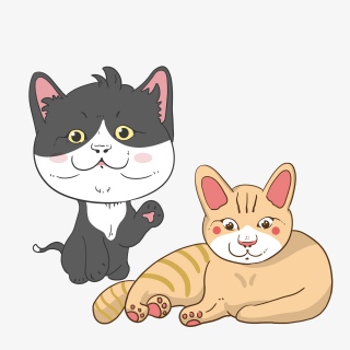 典雅猫咪他那憨状的样子让人发笑