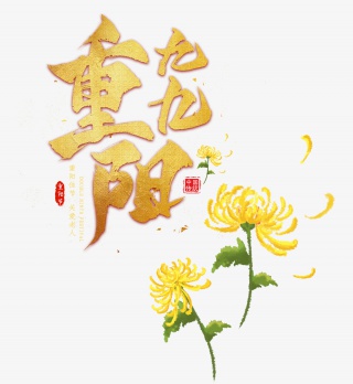 黄菊菊花