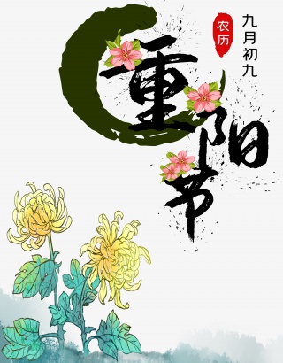 重阳节菊花
