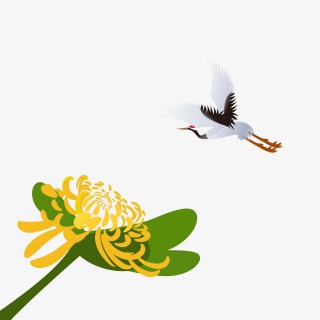菊花和仙鹤