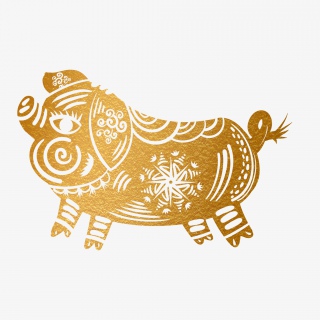 2019新年手绘卡通剪纸猪
