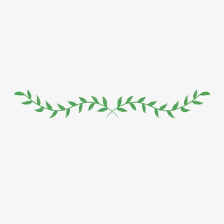 清新夏日绿植叶子分割线卡通手绘