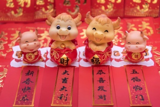牛年