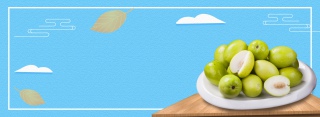 冬枣蓝色简约banner