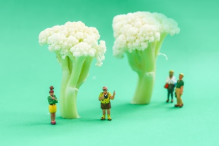 花菜上的趣味小人
